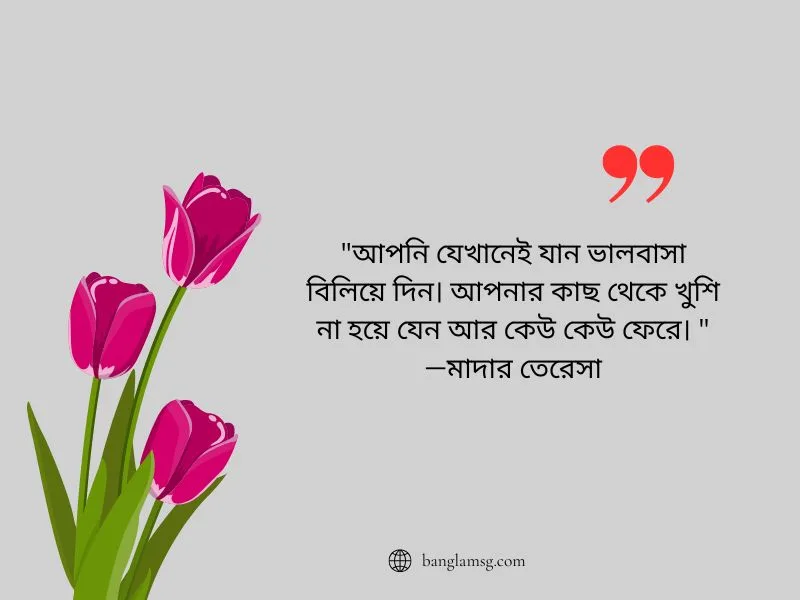 বাস্তব জীবন নিয়ে —মাদার তেরেসা