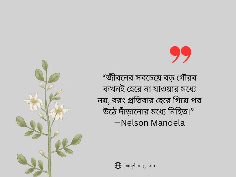 বাস্তব জীবন নিয়ে_Nelson Mandela
