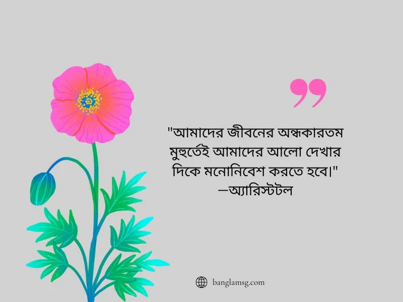 বাস্তব জীবন নিয়ে_অ্যারিস্টটল