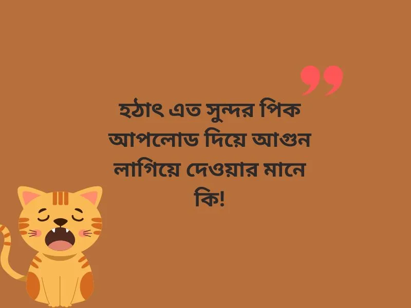 মেয়েদের ছবিতে ফানি কমেন্ট