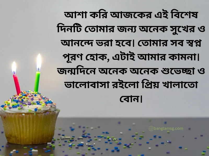 খালাতো বোনের জন্মদিনের শুভেচ্ছা স্ট্যাটাস