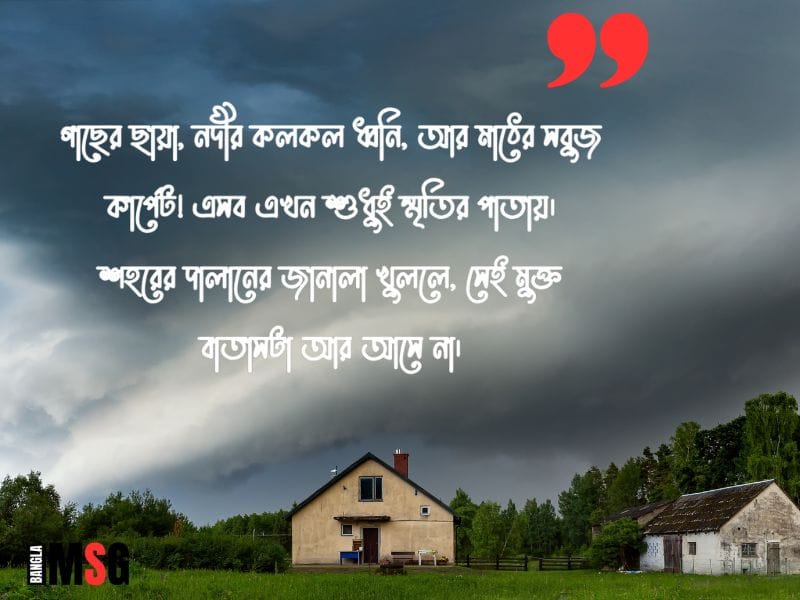 গ্রামের প্রকৃতি নিয়ে ক্যাপশন