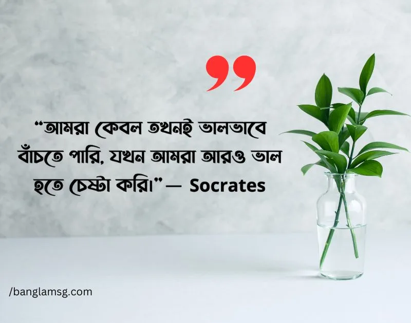 জীবন নিয়ে উক্তি ছবি