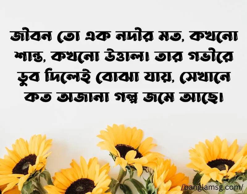 জীবন নিয়ে কাব্যিক ক্যাপশন