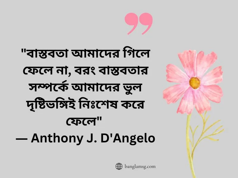 দৃষ্টিভঙ্গি নিয়ে উক্তি_Anthony J. D'Angelo