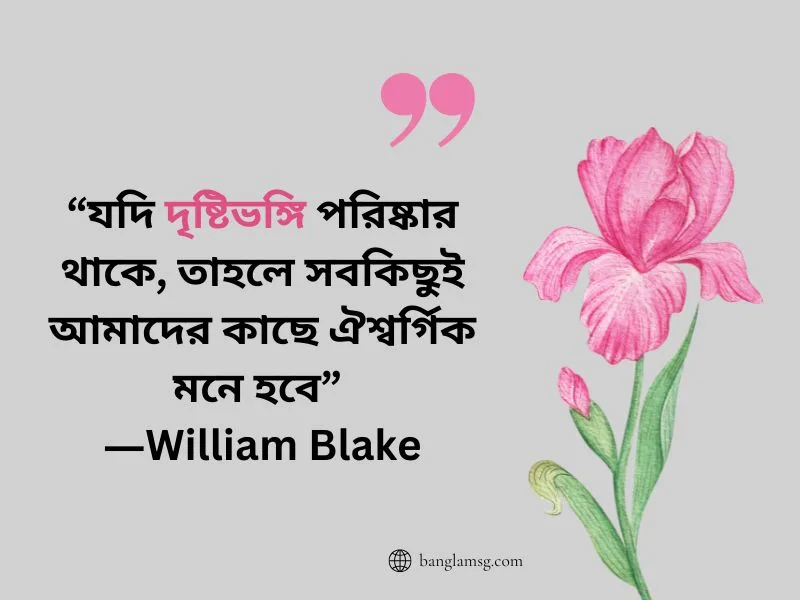 দৃষ্টিভঙ্গি নিয়ে উক্তি_William Blake
