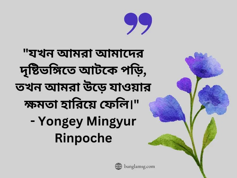 দৃষ্টিভঙ্গি নিয়ে উক্তি_Yongey Mingyur Rinpoche