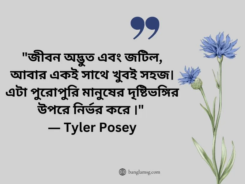 দৃষ্টিভঙ্গি নিয়ে উক্তি_banglamsg_Tyler Posey