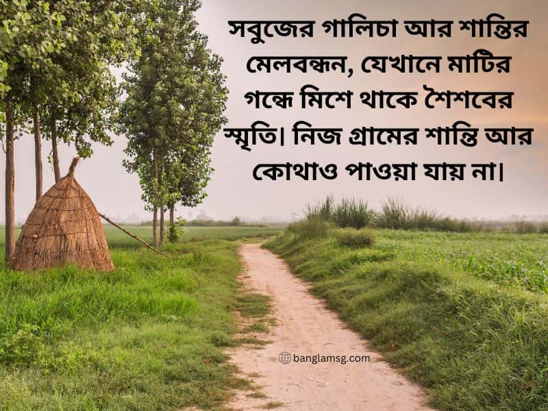 নিজের গ্রাম নিয়ে স্ট্যাটাস