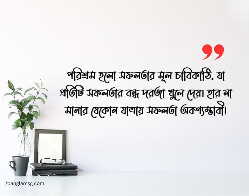 পরিশ্রম ও সফলতা নিয়ে উক্তি