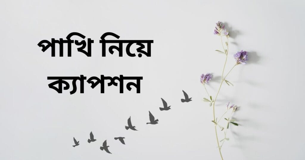 পাখি নিয়ে ক্যাপশন