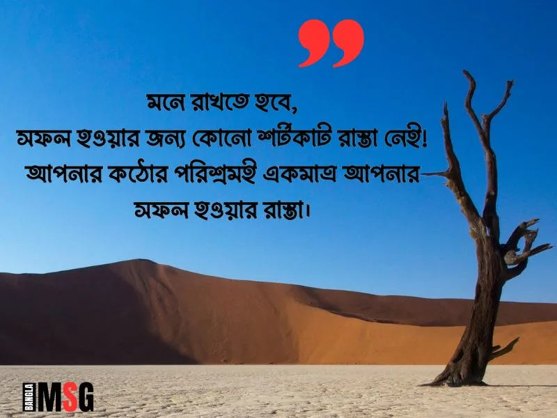 সফলতা নিয়ে ক্যাপশন