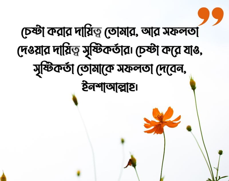 সফলতা নিয়ে স্ট্যাটাস