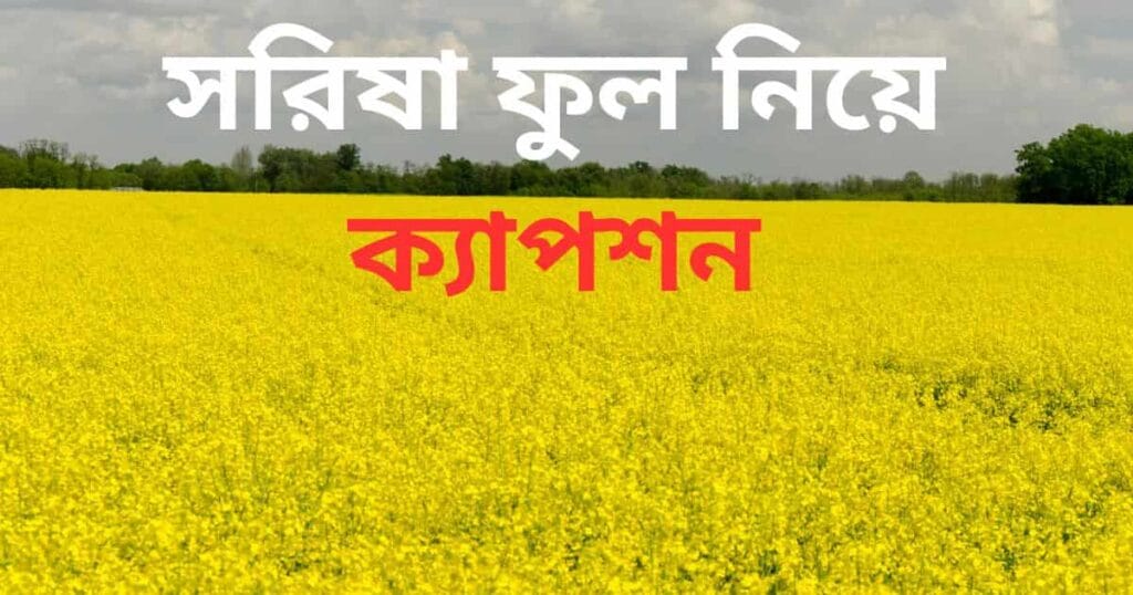 সরিষা ফুল নিয়ে ক্যাপশন