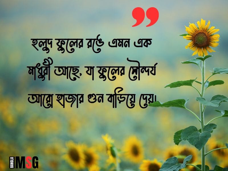 হলুদ ফুল নিয়ে ক্যাপশন