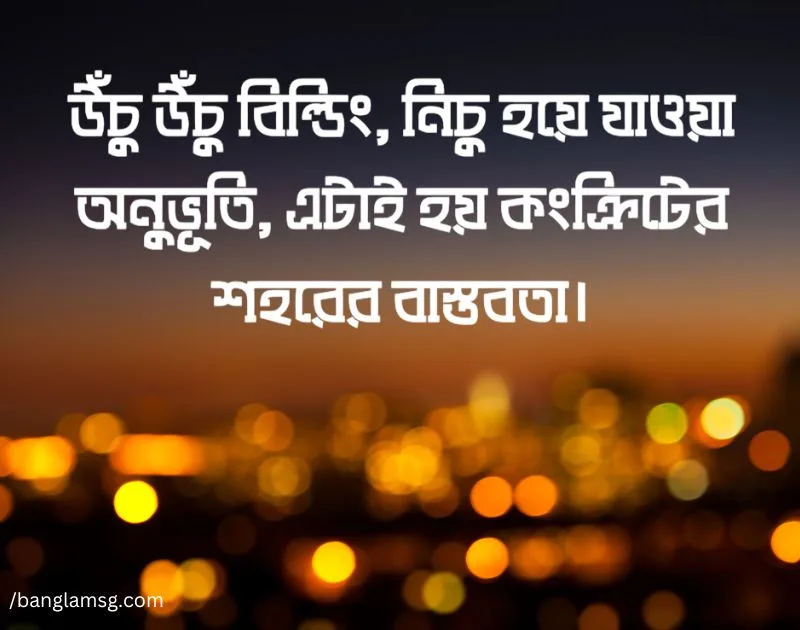 কংক্রিটের শহর নিয়ে উক্তি