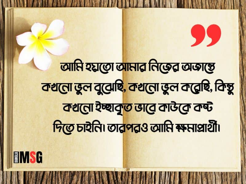 ক্ষমা চাওয়ার মেসেজ