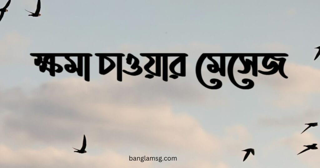 ক্ষমা চাওয়ার মেসেজ