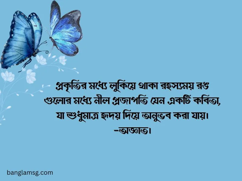 নীল প্রজাপতি নিয়ে উক্তি