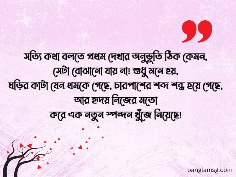 প্রথম দেখার অনুভূতি স্ট্যাটাস