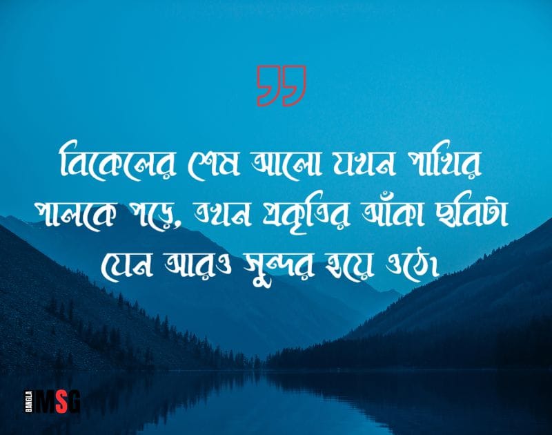 বিকেলের প্রকৃতি নিয়ে ক্যাপশন