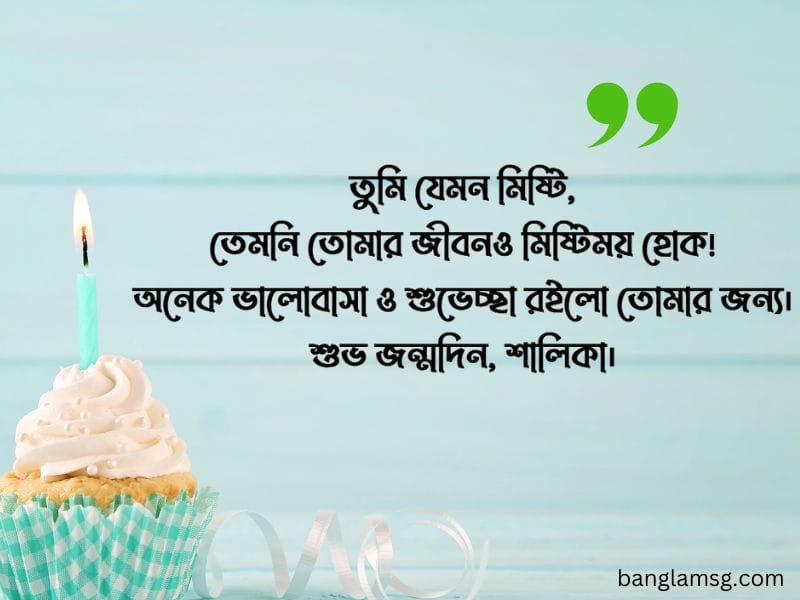 শালীর জন্মদিনের শুভেচ্ছা স্ট্যাটাস