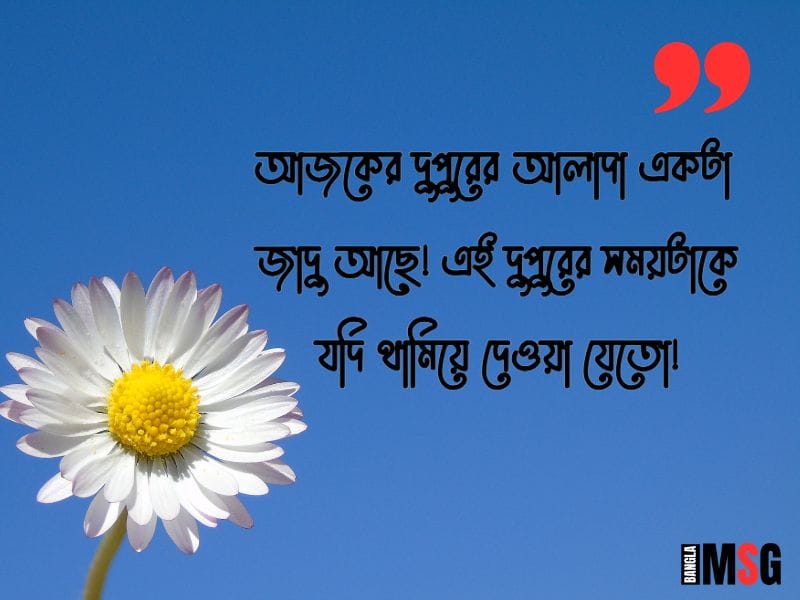দুপুর বেলার শুভেচ্ছা