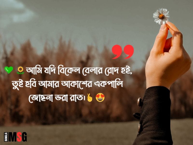 বিকেলের রোদ নিয়ে স্ট্যাটাস