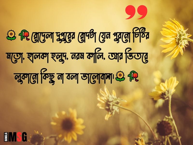 রোদেলা দুপুর নিয়ে ক্যাপশন