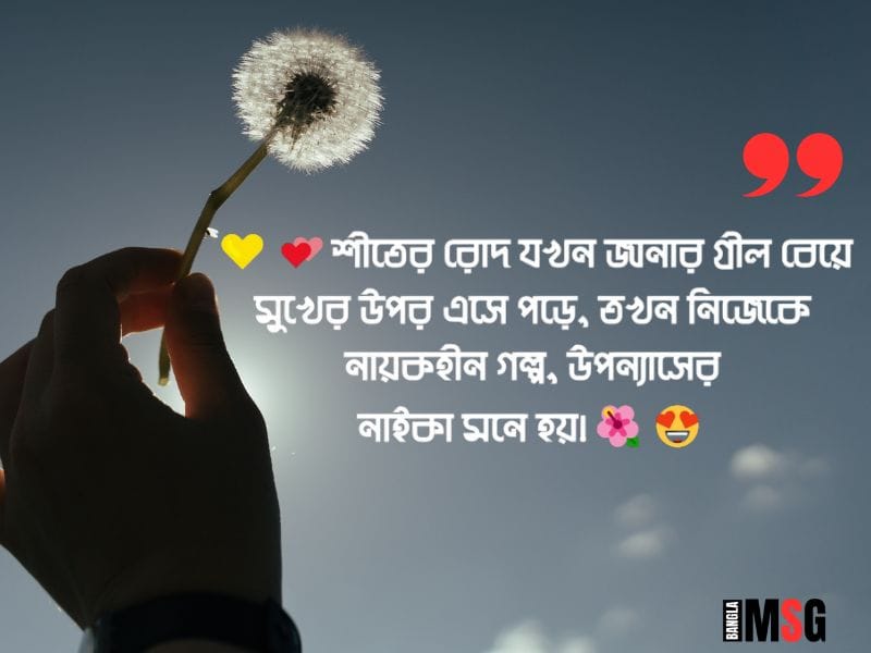 শীতের রোদ নিয়ে ক্যাপশন