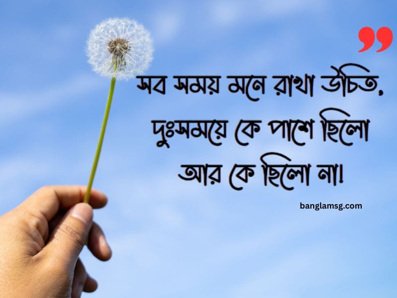 বেস্ট হোয়াটসঅ্যাপ স্ট্যাটাস