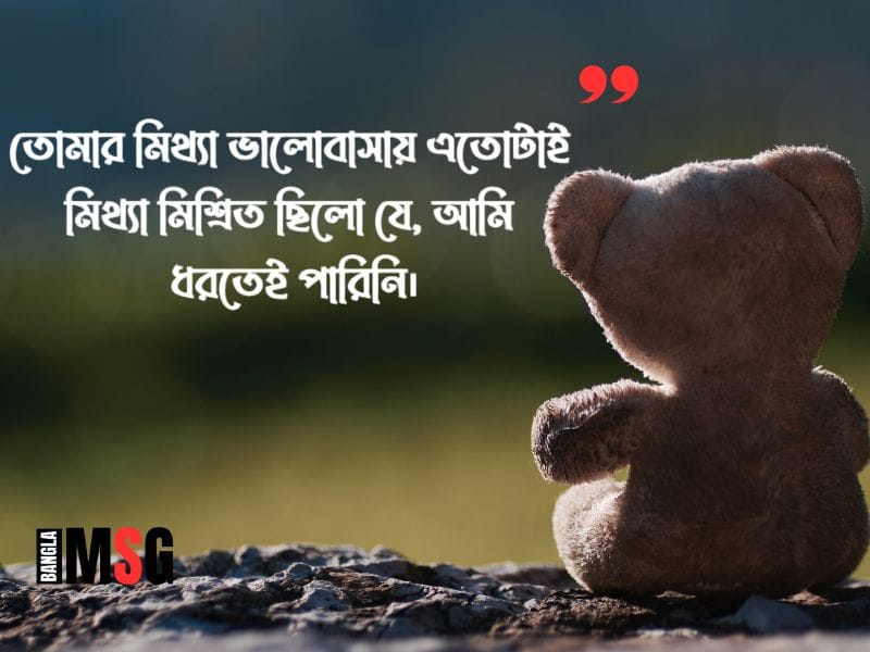 মিথ্যা নিয়ে ক্যাপশন