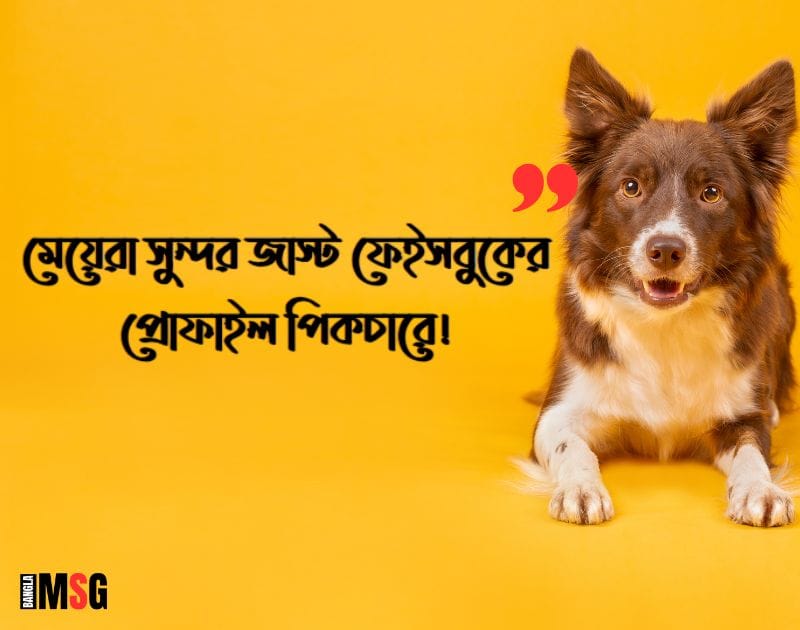 মেয়েদের পচানোর ক্যাপশন