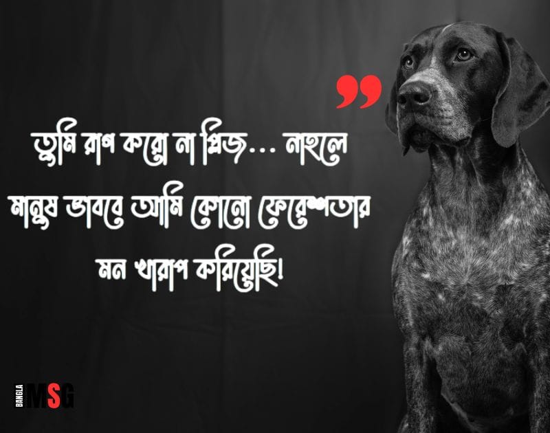 মেয়েদের রাগানোর sms