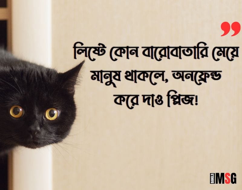 মেয়েদের রাগানোর ক্যাপশন