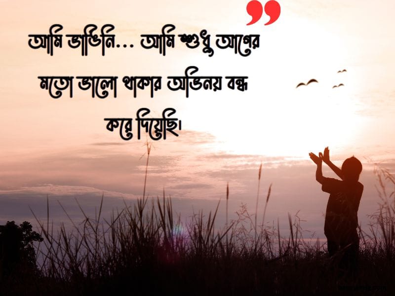 হোয়াটসঅ্যাপ স্ট্যাটাস বাংলা