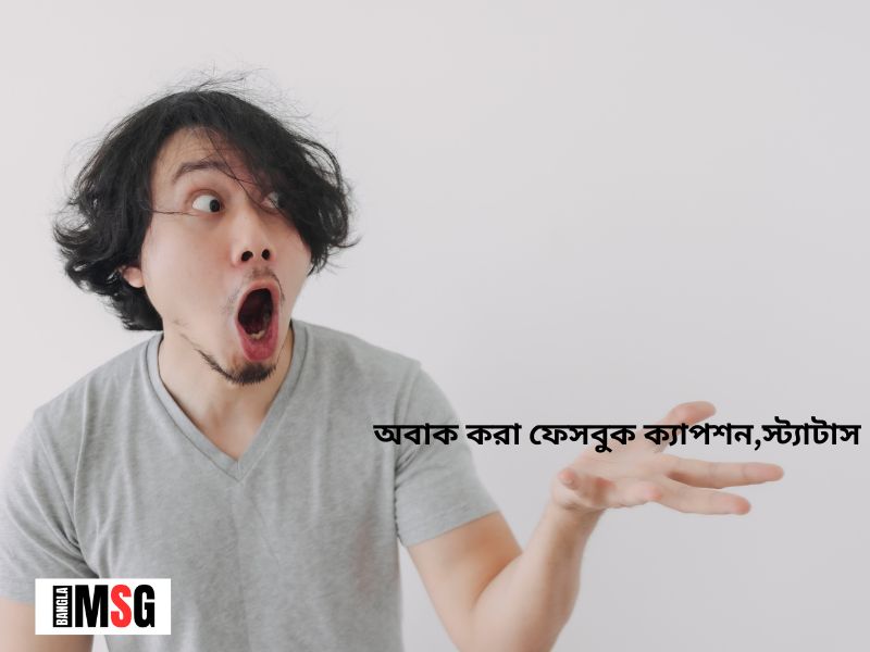 অবাক করা কিছু ফেসবুক স্ট্যাটাস