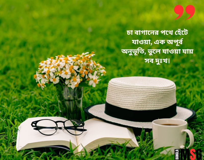 প্রকৃতি ও চা বাগান নিয়ে ক্যাপশন