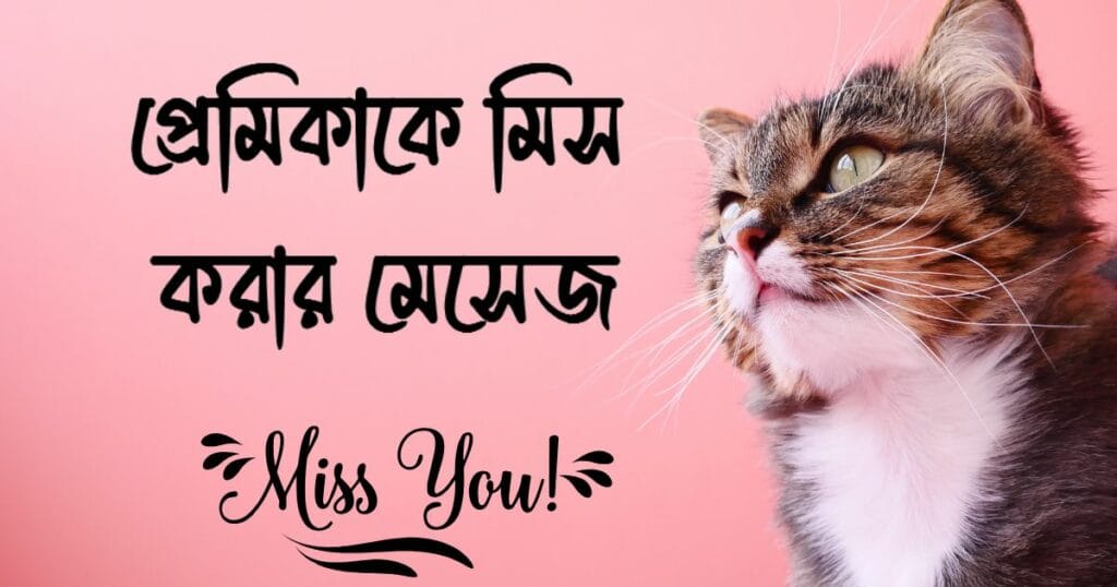 প্রেমিকাকে মিস করার মেসেজ