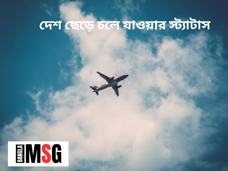 বন্ধুকে বিদায় দেওয়ার স্ট্যাটাস