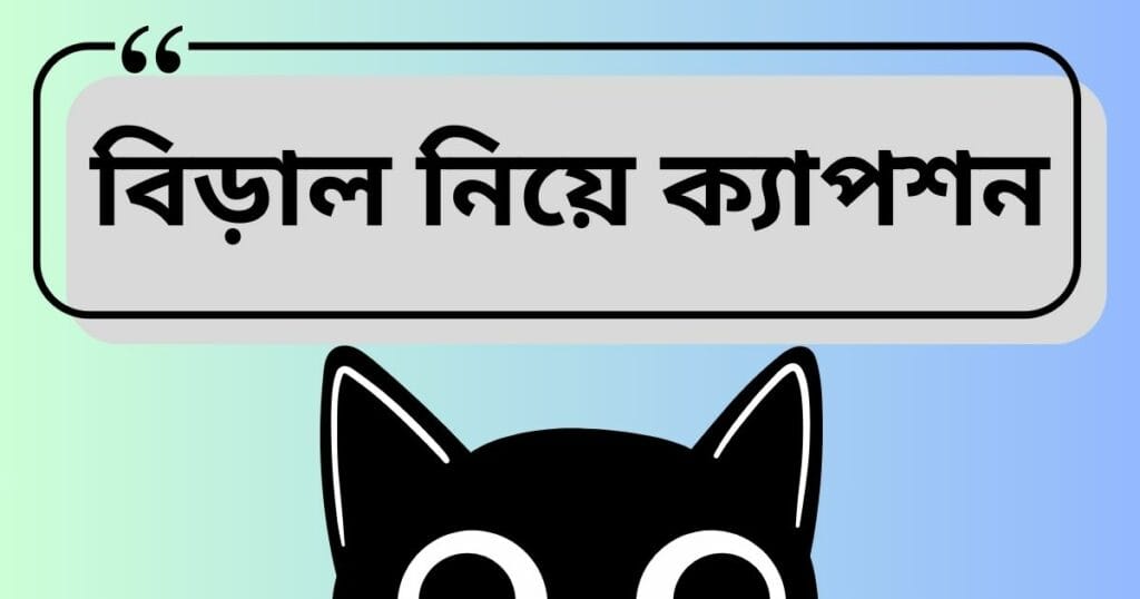 বিড়াল নিয়ে ক্যাপশন
