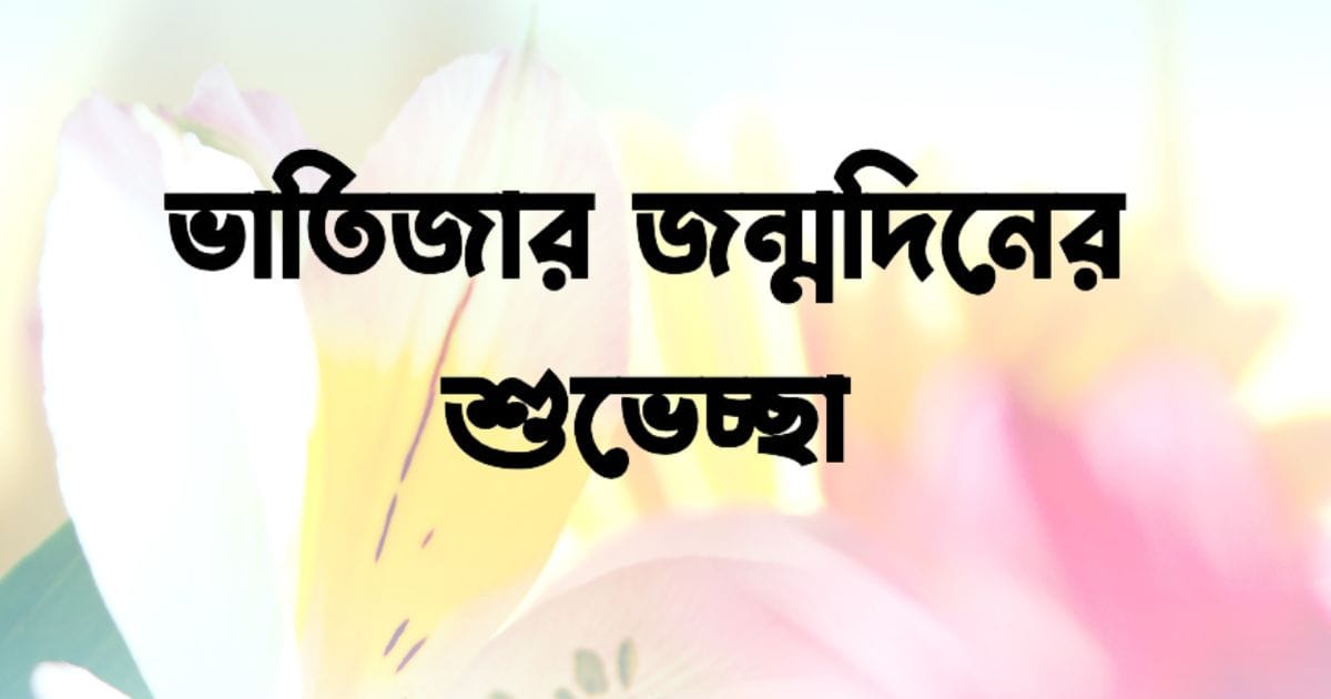 ভাতিজার জন্মদিনের শুভেচ্ছা