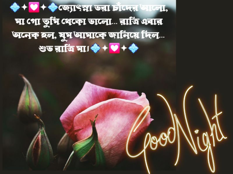 good night wishes