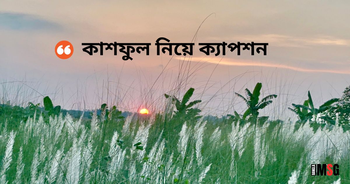 কাশফুল নিয়ে ক্যাপশন