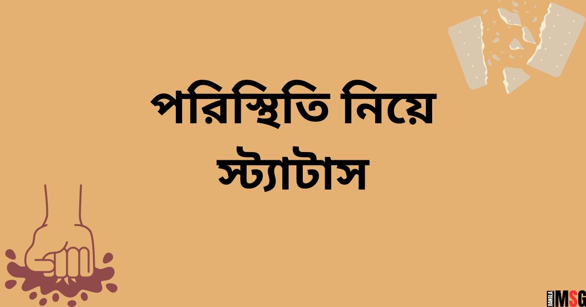 পরিস্থিতি নিয়ে স্ট্যাটাস