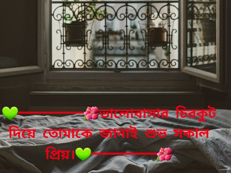 সুপ্রভাত শুভ সকাল ছবি ডাউনলোড