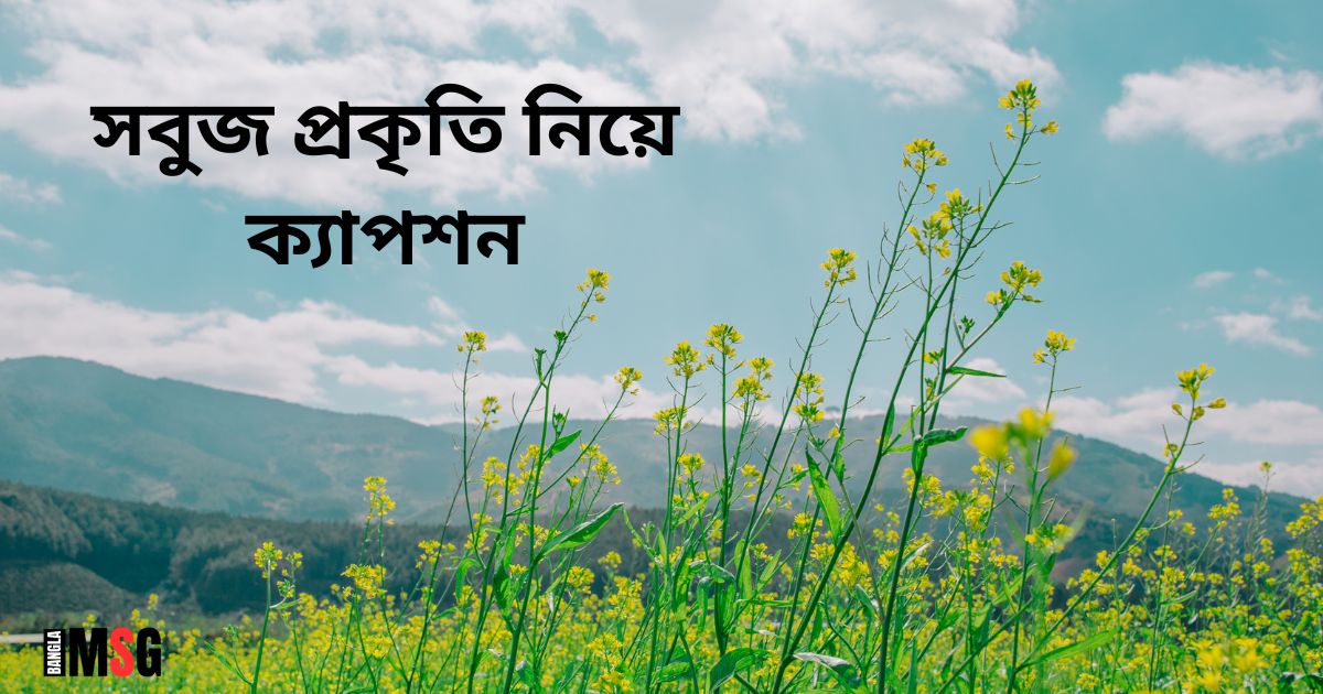 প্রকৃতি নিয়ে ক্যাপশন