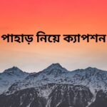 সবুজ পাহাড় নিয়ে উক্তি