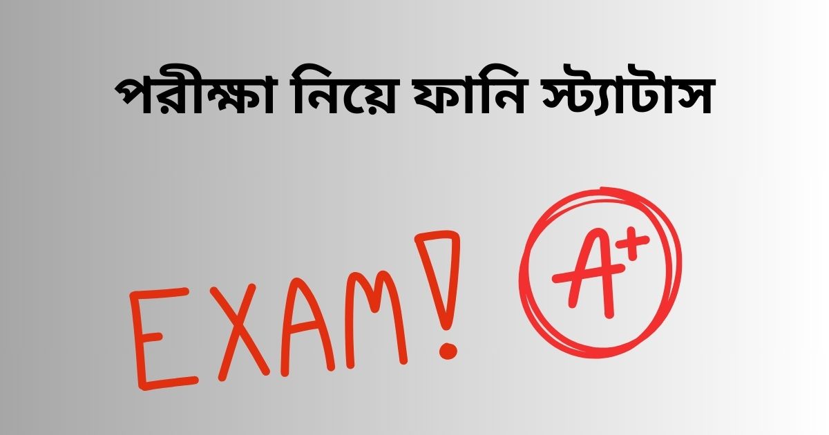 পরীক্ষা নিয়ে ফানি স্ট্যাটাস_পরীক্ষা নিয়ে উক্তি