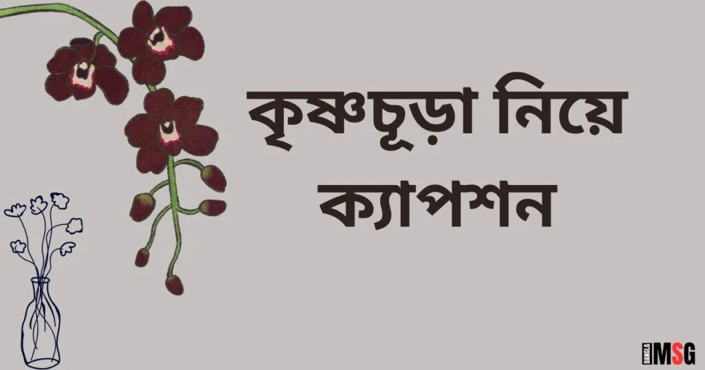 কৃষ্ণচূড়া নিয়ে ক্যাপশন